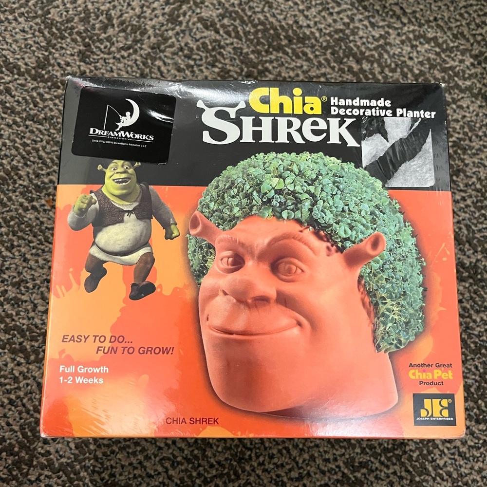 Dreamworks Shrek Green and Orange Art